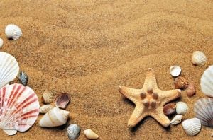 Suitcase items for your Overseas Vacation