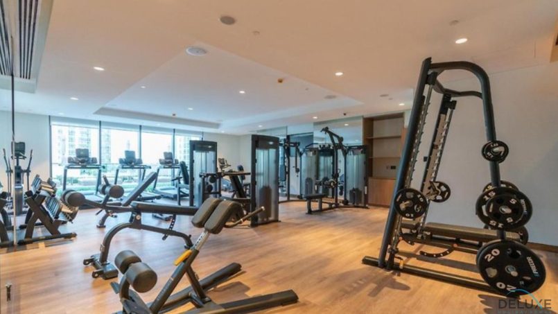 DELUXE HOLIDAY HOMES - Gym 1