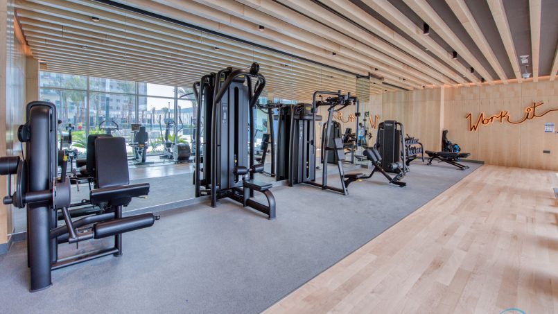 DELUXE HOLIDAY HOMES - Gym 1