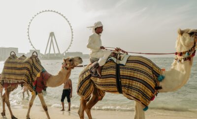 أفضل الأنشطة في دبي للزوار لأول مرة: دليل شامل لعام 2026