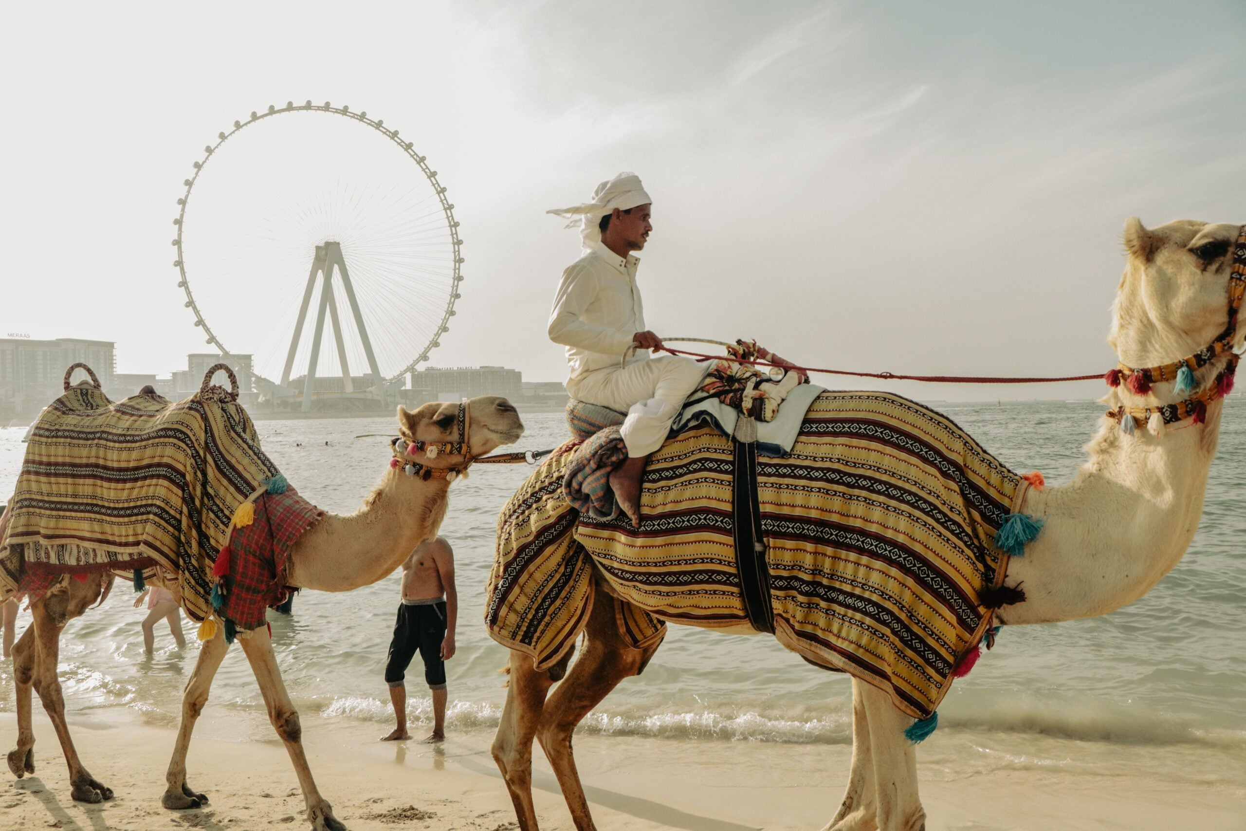 Camel on JBR Beach Dubai — things to do in Dubai for first-time visitors
