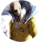 p s avatar